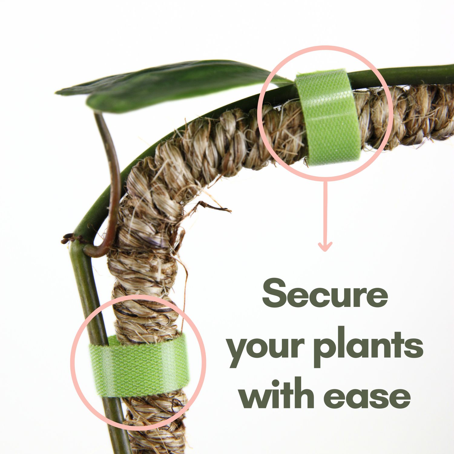 Reusable Plant Tape Pull Up &amp; Support Indoor &amp; Outdoor Plant: 10 Feet