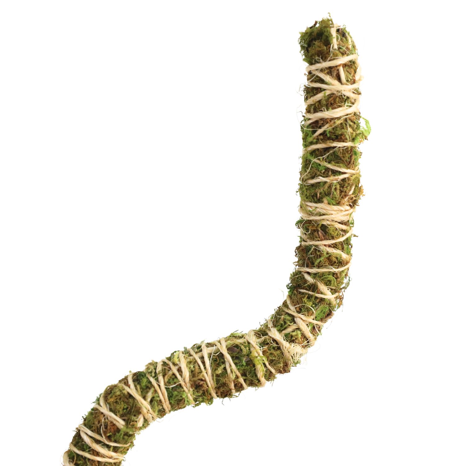 3 Pack Bendable Moss Pole Thin – Flexible Support for Plants: 30" Bendable Moss Pole™ THIN
