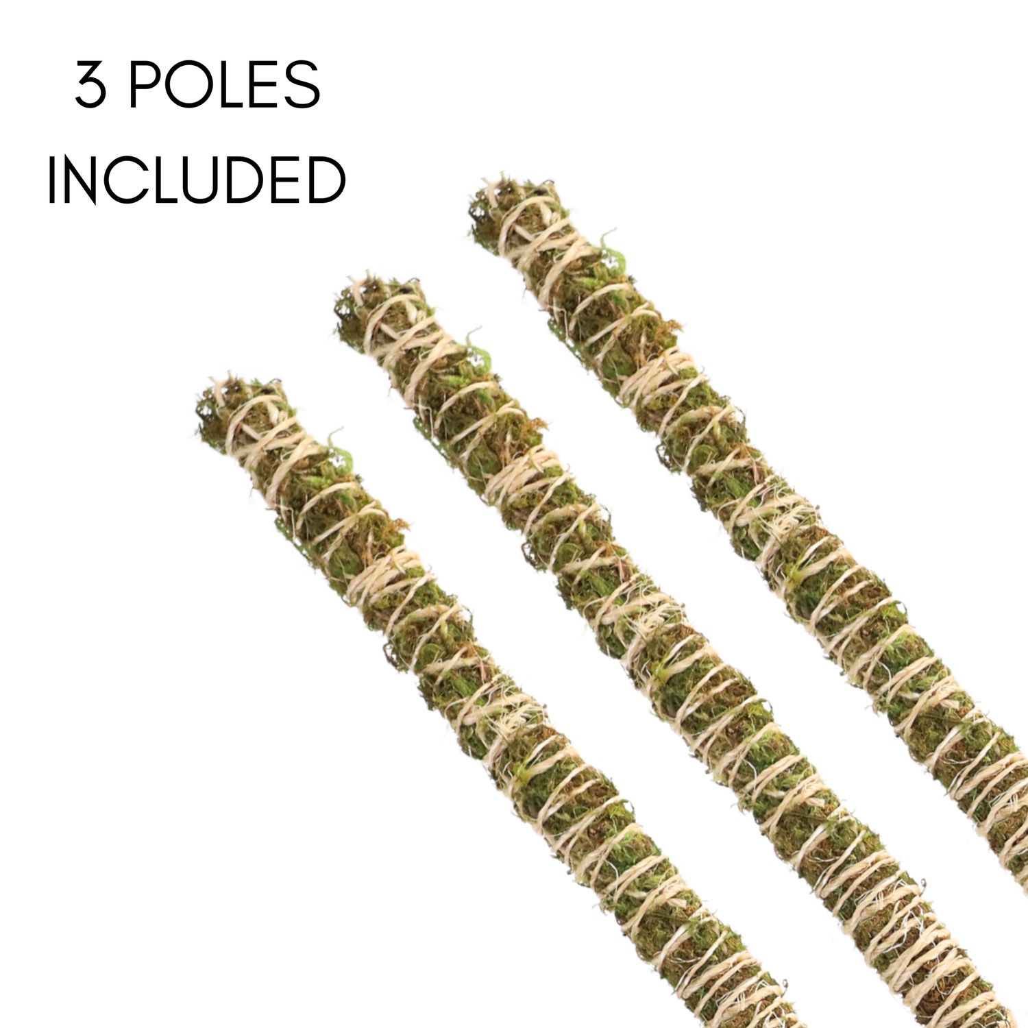 3 Pack Bendable Moss Pole Thin – Flexible Support for Plants: 30" Bendable Moss Pole™ THIN