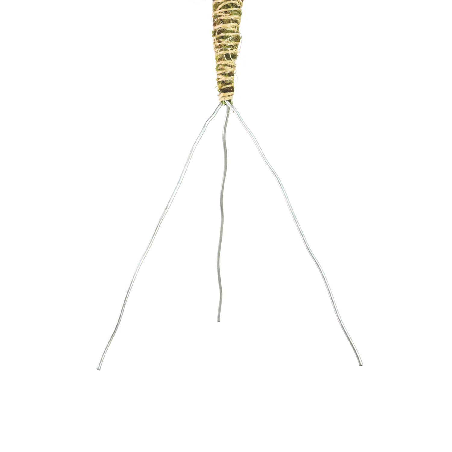 3 Pack Bendable Moss Pole Thin – Flexible Support for Plants: 30" Bendable Moss Pole™ THIN