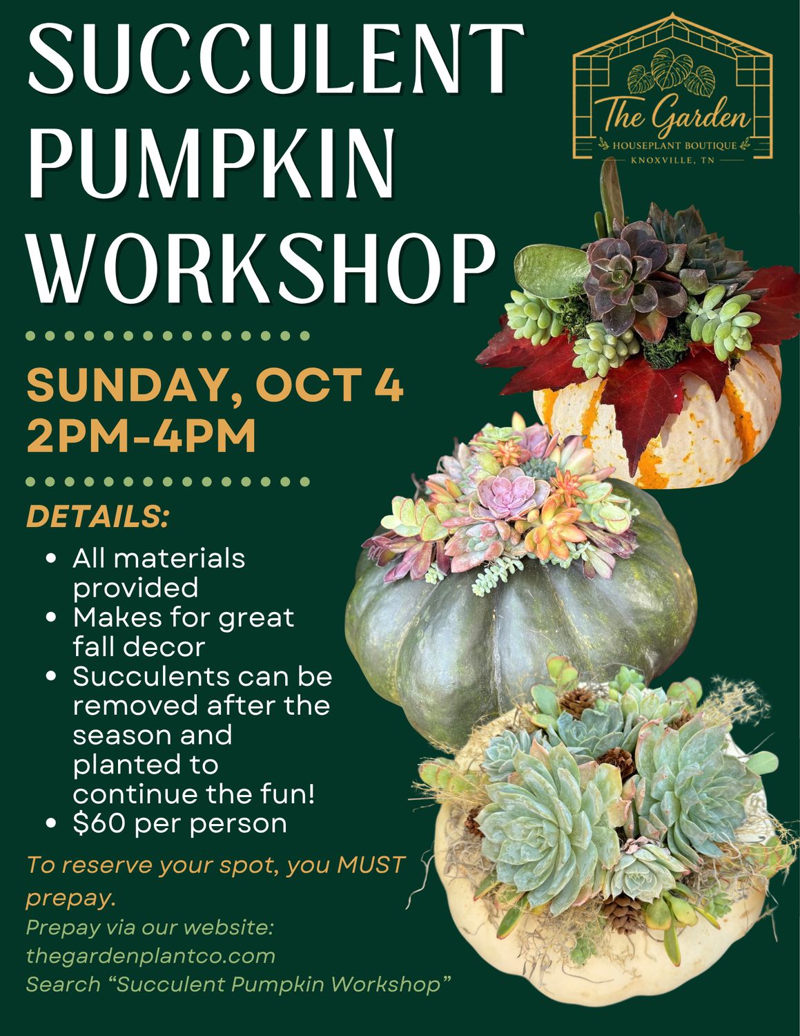 Succulent Pumpkin Workshop