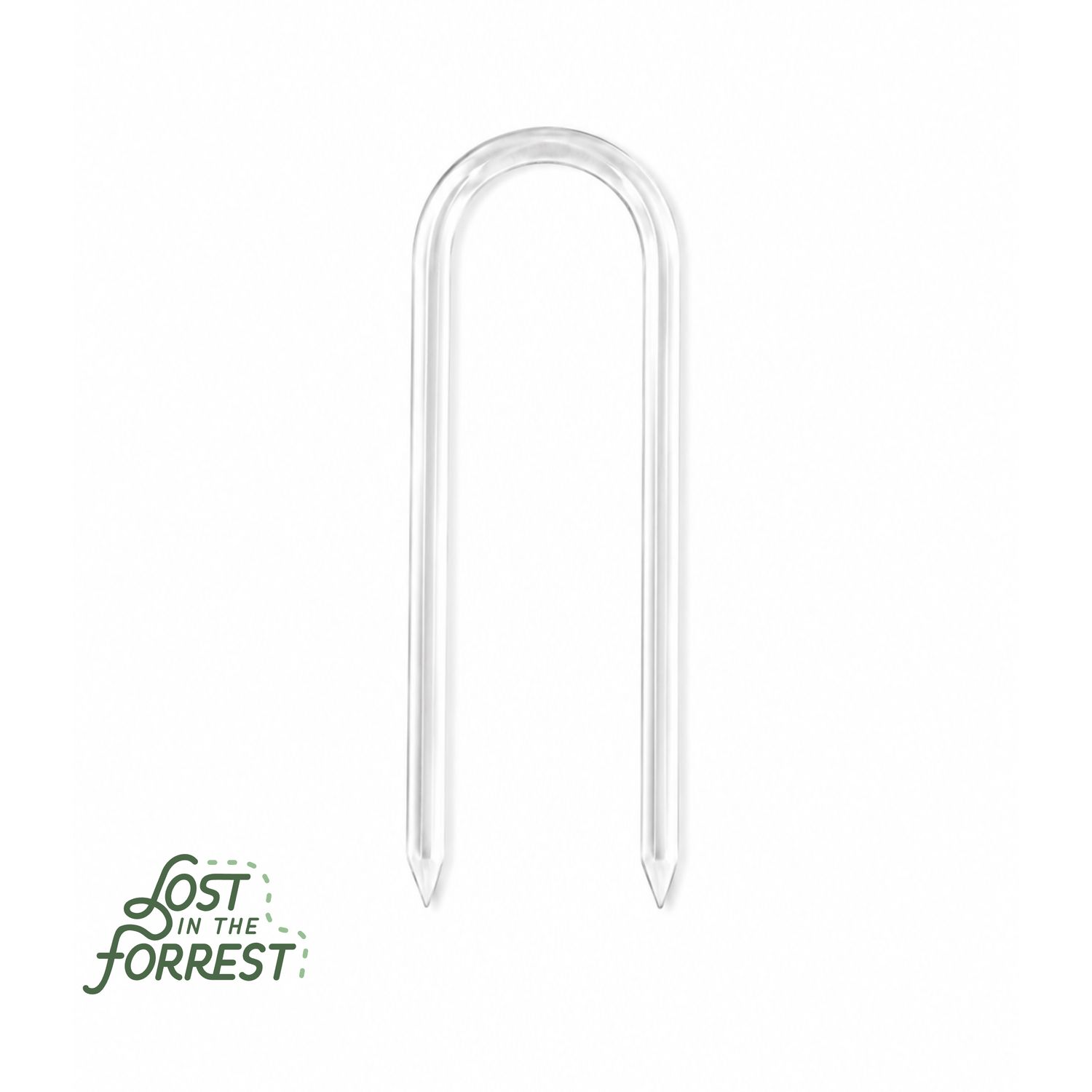 Glassvine Hoop: Small