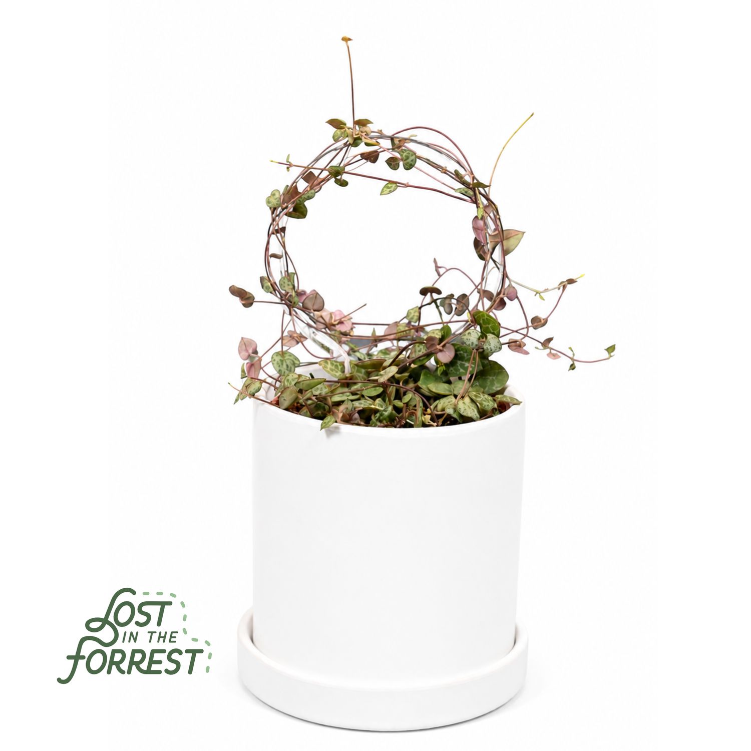 Glassvine Hoop: Small