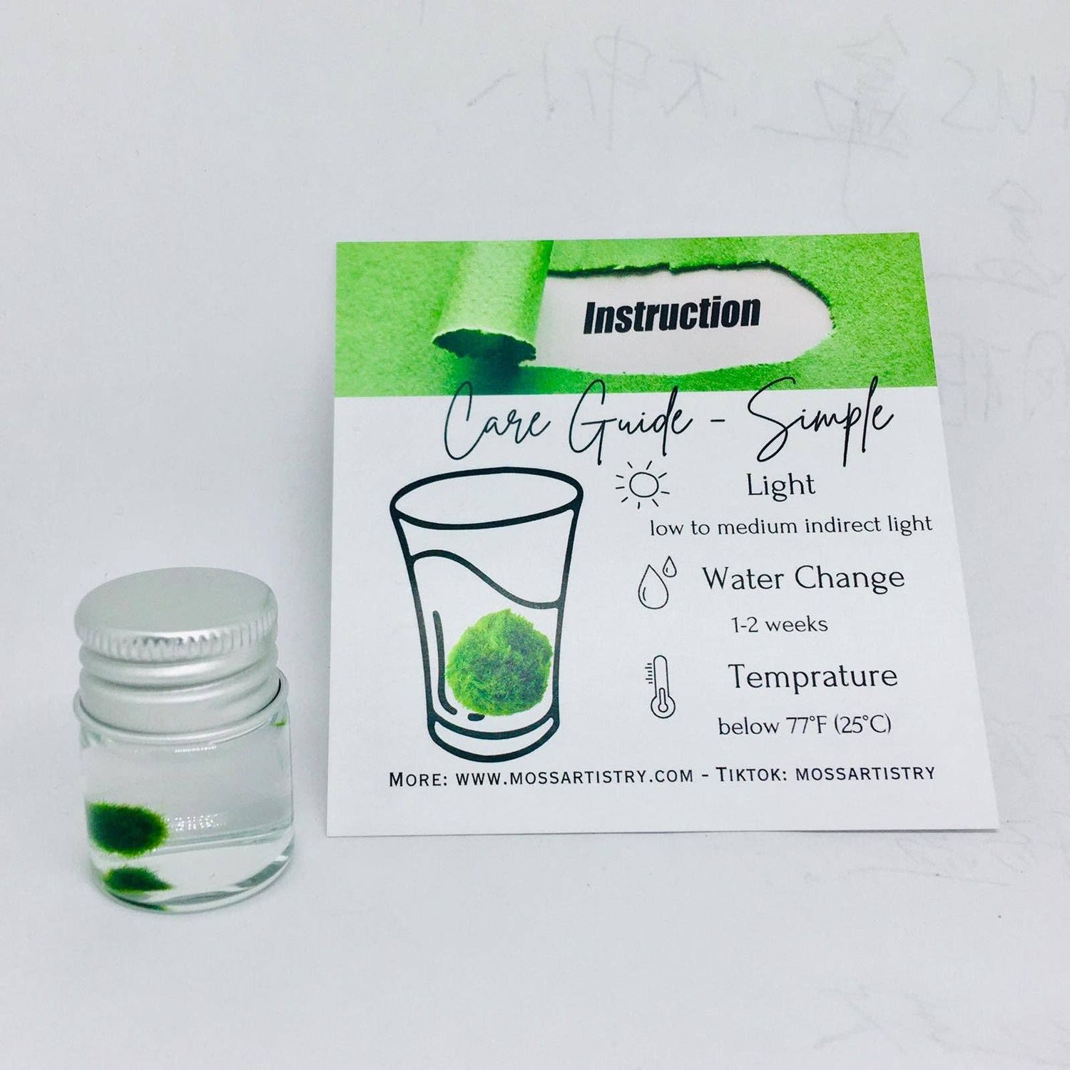 Mini Marimo Moss Ball Jar