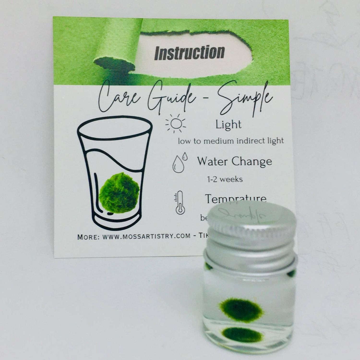 Mini Marimo Moss Ball Jar