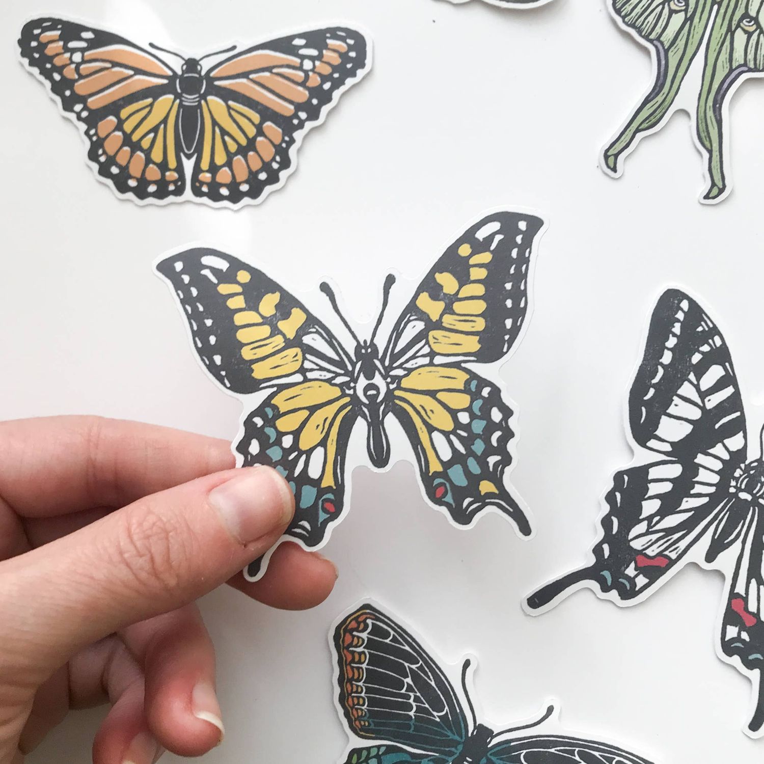 Eastern Tiger Swallowtail Butterfly Sticker: Vinyl