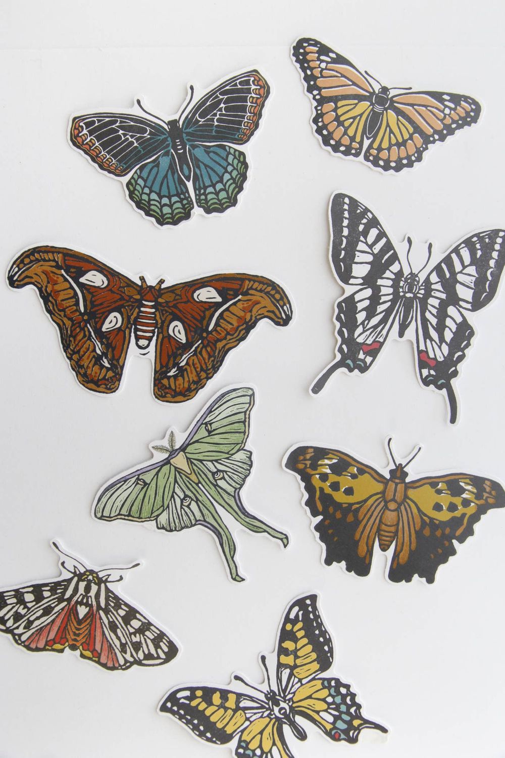 Atlas Moth Sticker