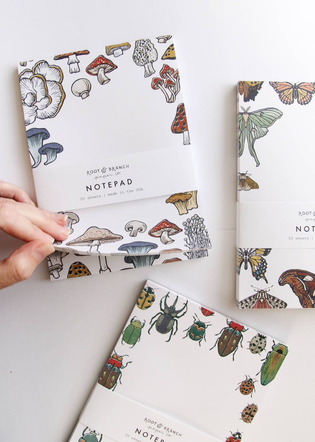 Beetles Notepad