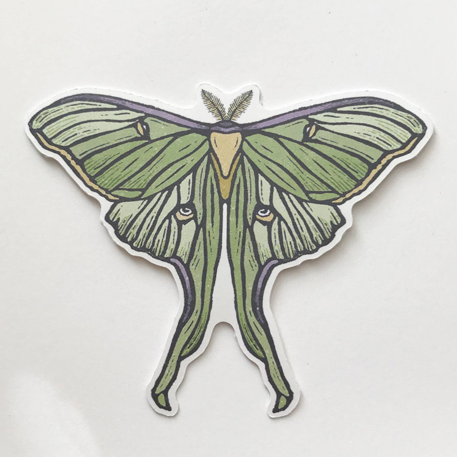 Luna Moth Sticker