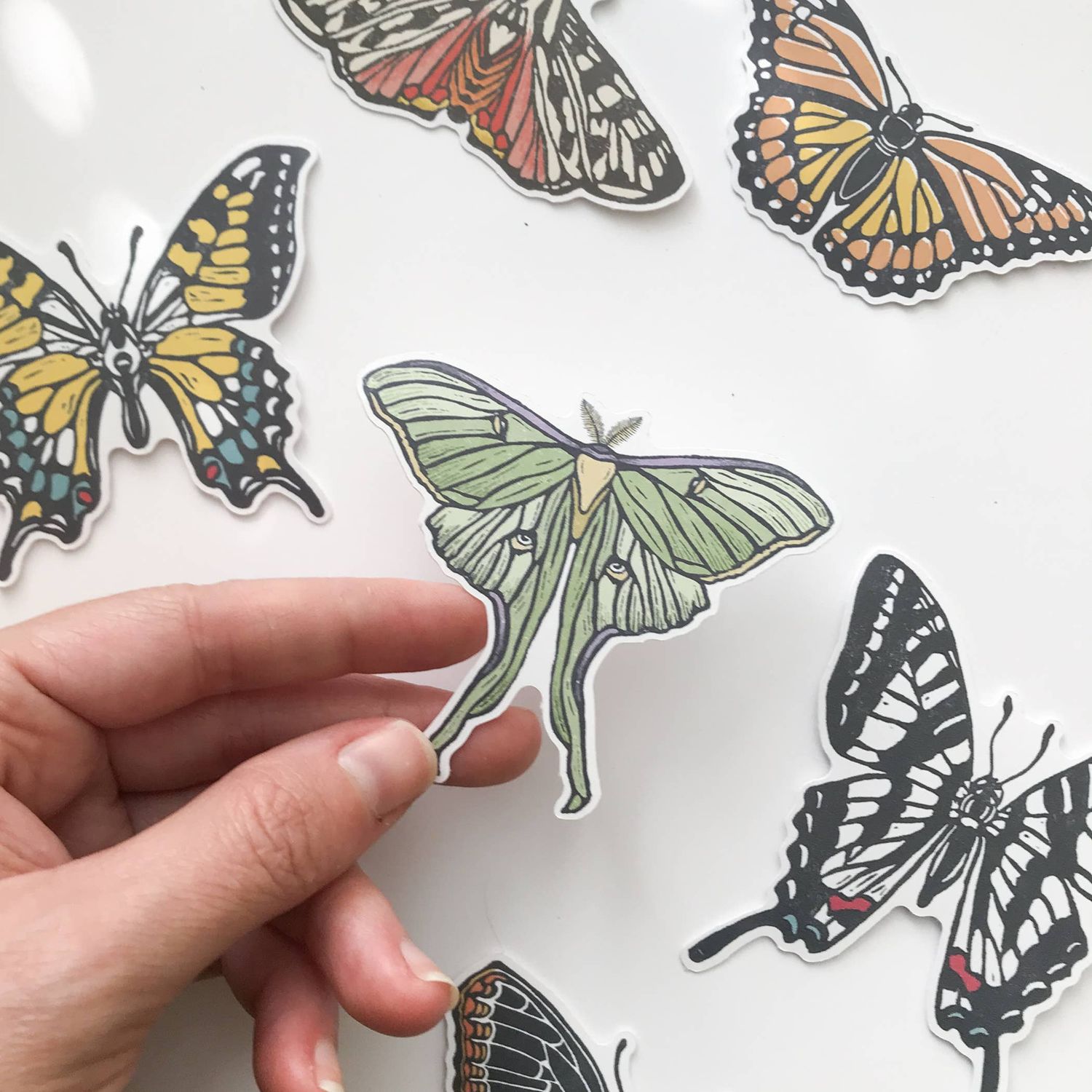 Luna Moth Sticker