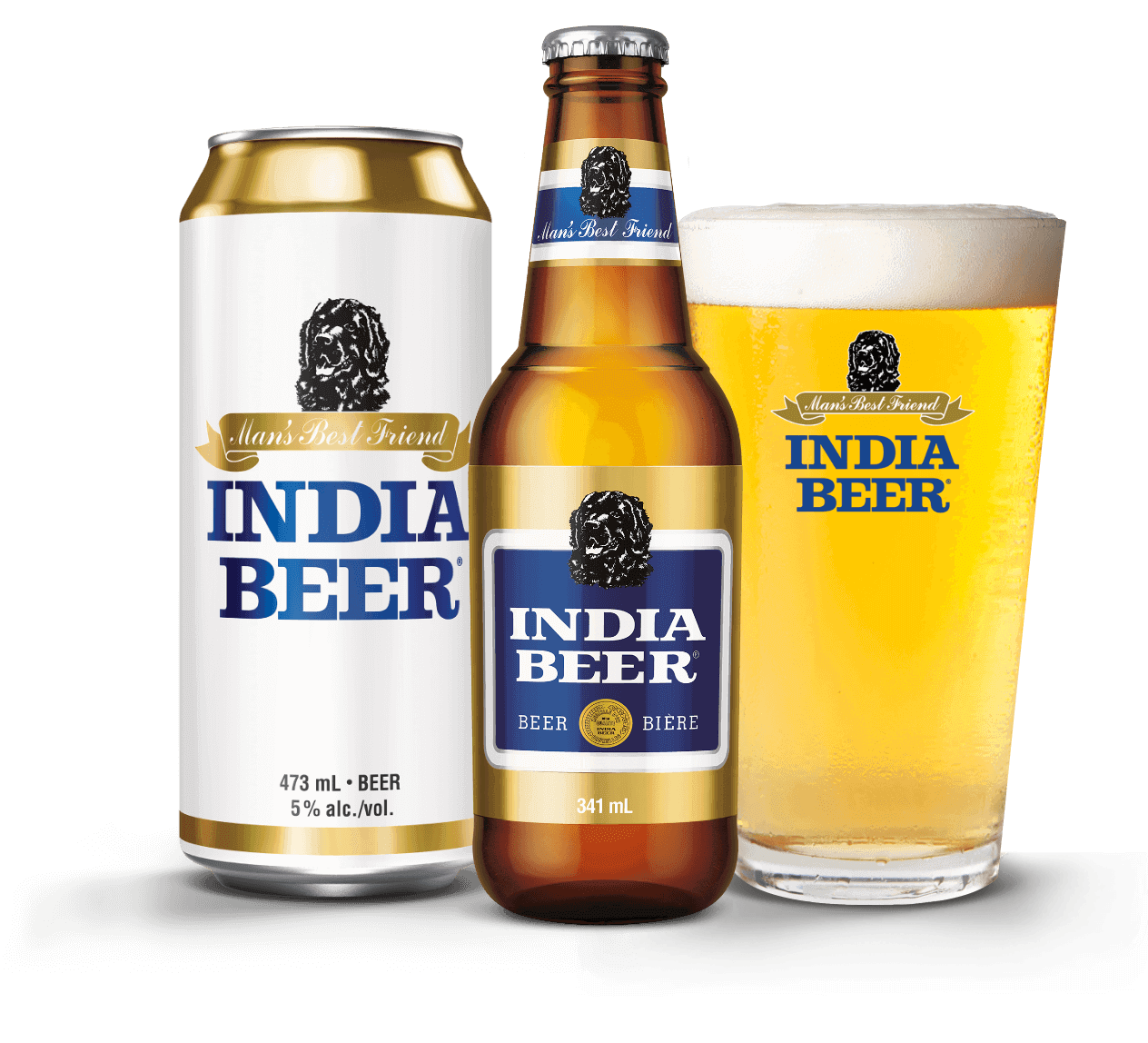 Molson India Pale Ale 12cans