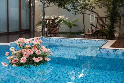 Pool (Sample Product)
