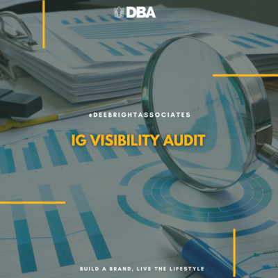 IG Visibility Audit