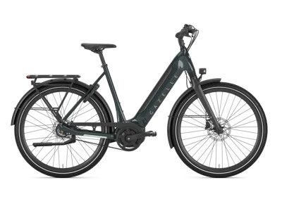 Gazelle Ultimate C8 HMB - 24 Low PINE GREEN 57