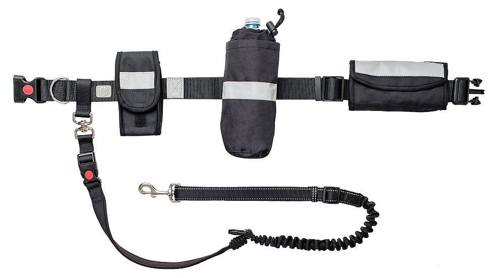 WAIST BELT &amp; BUNGEE LEASH
