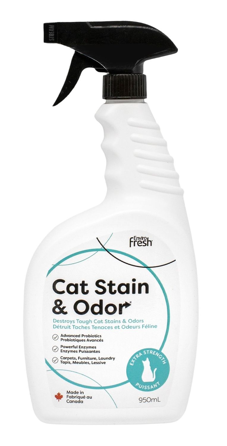 CAT STAIN &amp; ODOR