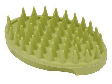 CURRY BRUSH