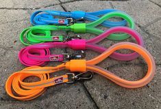 Wigzi Harness &amp; Leash