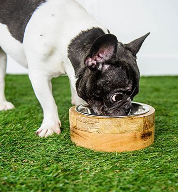 GF Pet Wood Bowl Natural Medium Dog
