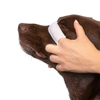 Goo-eez® Eye Wipes (60ct)