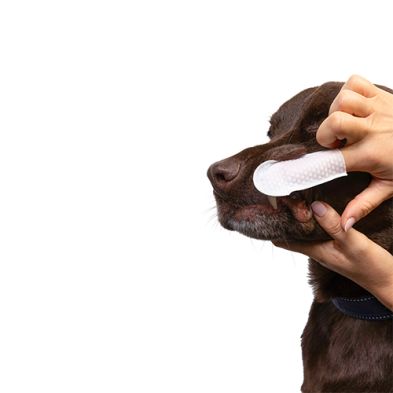 Goo-eez® Dental Wipes (50ct)