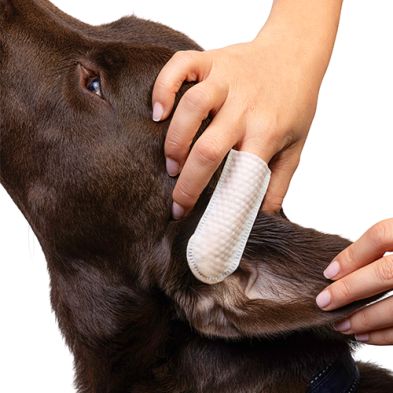 Goo-eez® Ear Wipes (60ct)