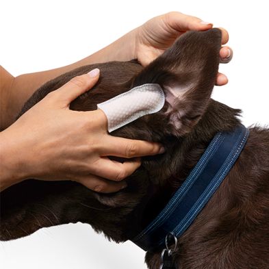 Goo-eez® Ear Wipes (60ct)