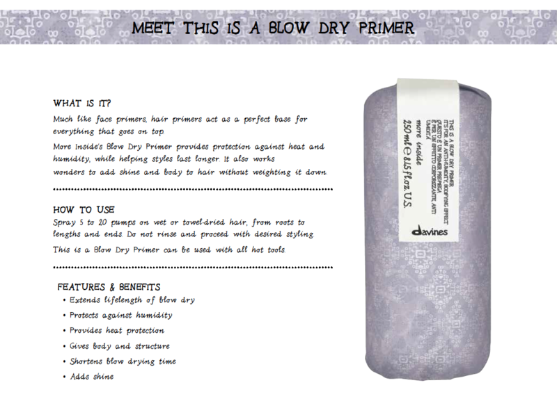 BlowDry Primer