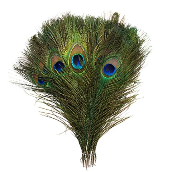 Greenhill Peacock Feather Short