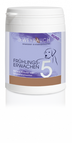 Dr.Weyrauch Frühlingserwachen Nr.5, Hund