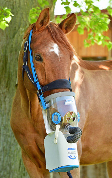 Hippomed Air One Flex -  Akku Ultraschall-Inhalator Pferde