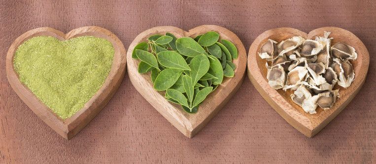 Moringa Morsam Pellets für Pferde