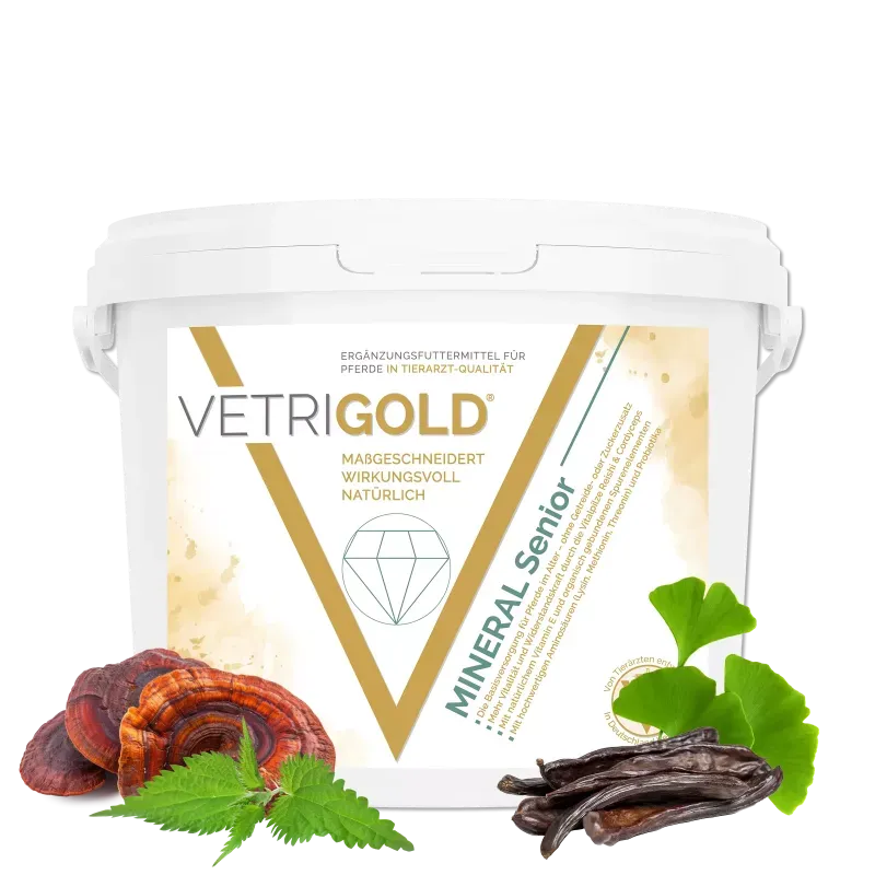 Vetrigold Mineral Senior