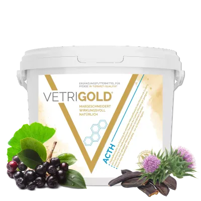 Vetrigold ACTH