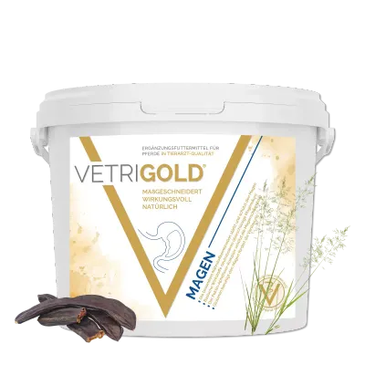 Vetrigold Magen