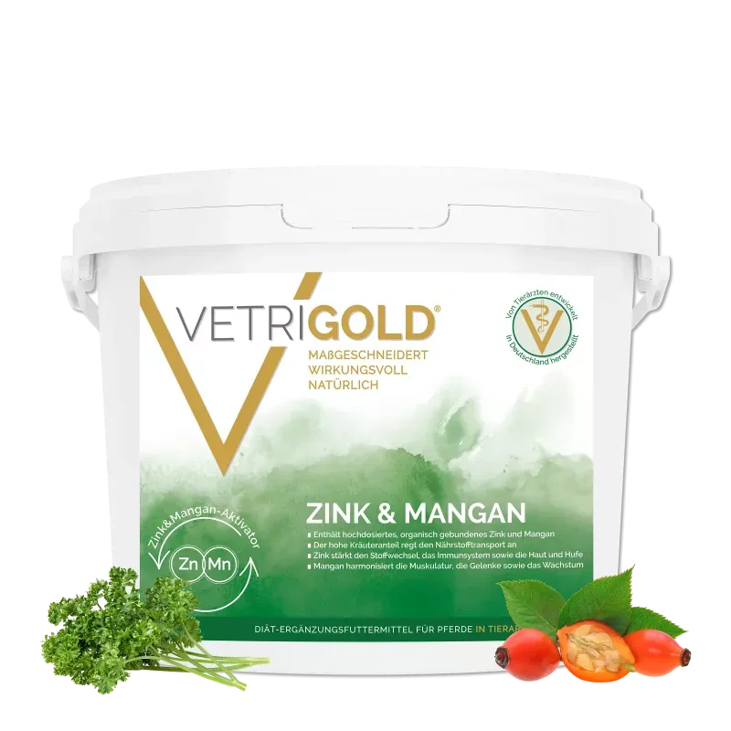 Vetrigold Zink &amp; Mangan