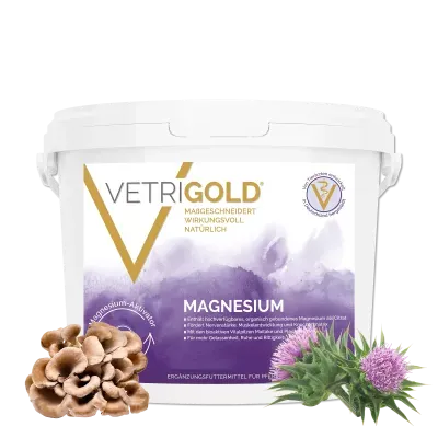 VetriGold Magnesium