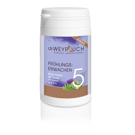 Dr.Weyrauch Frühlingserwachen Nr.5, Human
