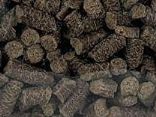 Cavaleiras Leinkuchen Pellets