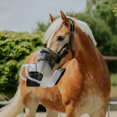 Inhalatoren für Pferde