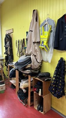 Reitsport Zubehör: Secondhand &amp; Neu