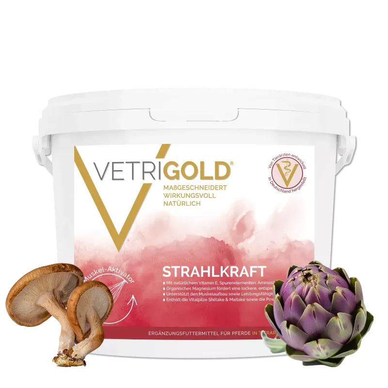 Vetrigold Strahlkraft