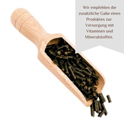 Aktuelles im Herbst