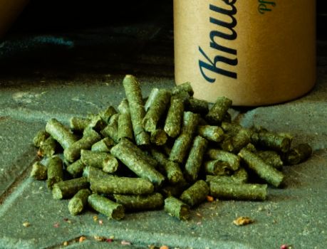 Knusperpony Hagebutte-Löwenzahn - getreidefrei