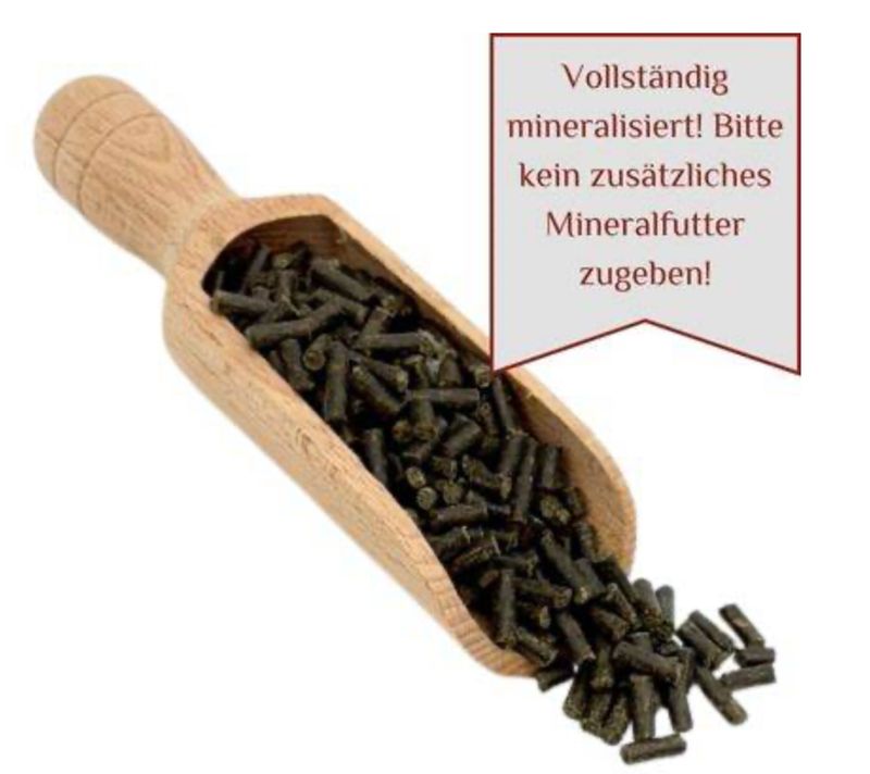 Sapodoris Saposoma Sapodoris Saposoma