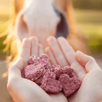 Horseflex Love Bites Rote Beete