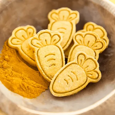 Horseflex Curcu Bites