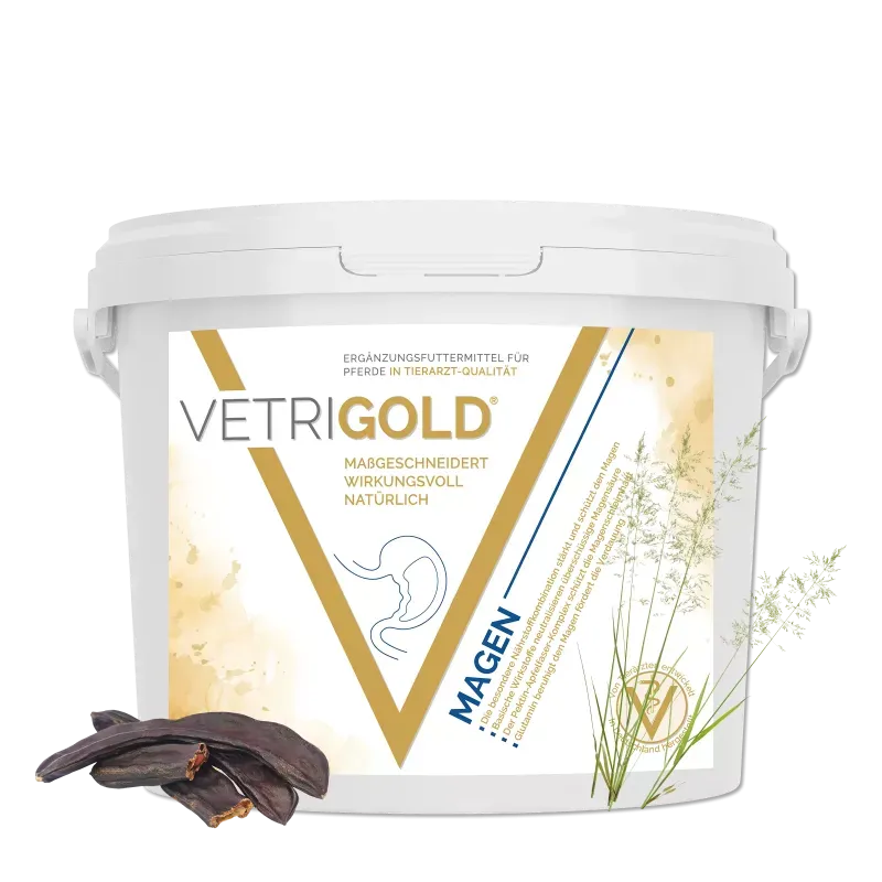 Vetrigold Magen