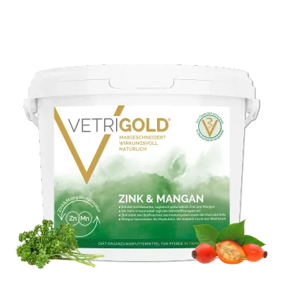 Vetrigold Zink &amp; Mangan
