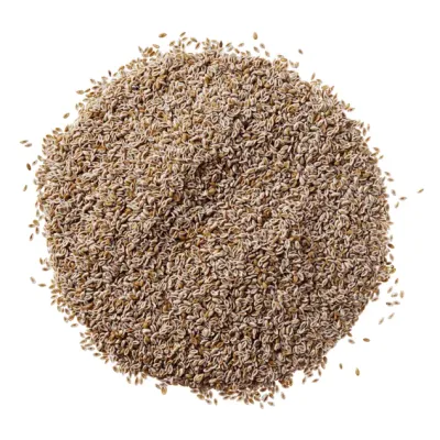 Cavaleiras Flohsamen - Schalen Cavaleiras Flohsamen - Schalen